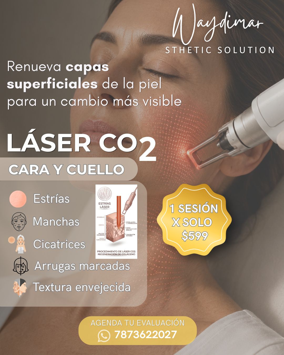 Láser CO2 Cara y Cuello en Vega Alta