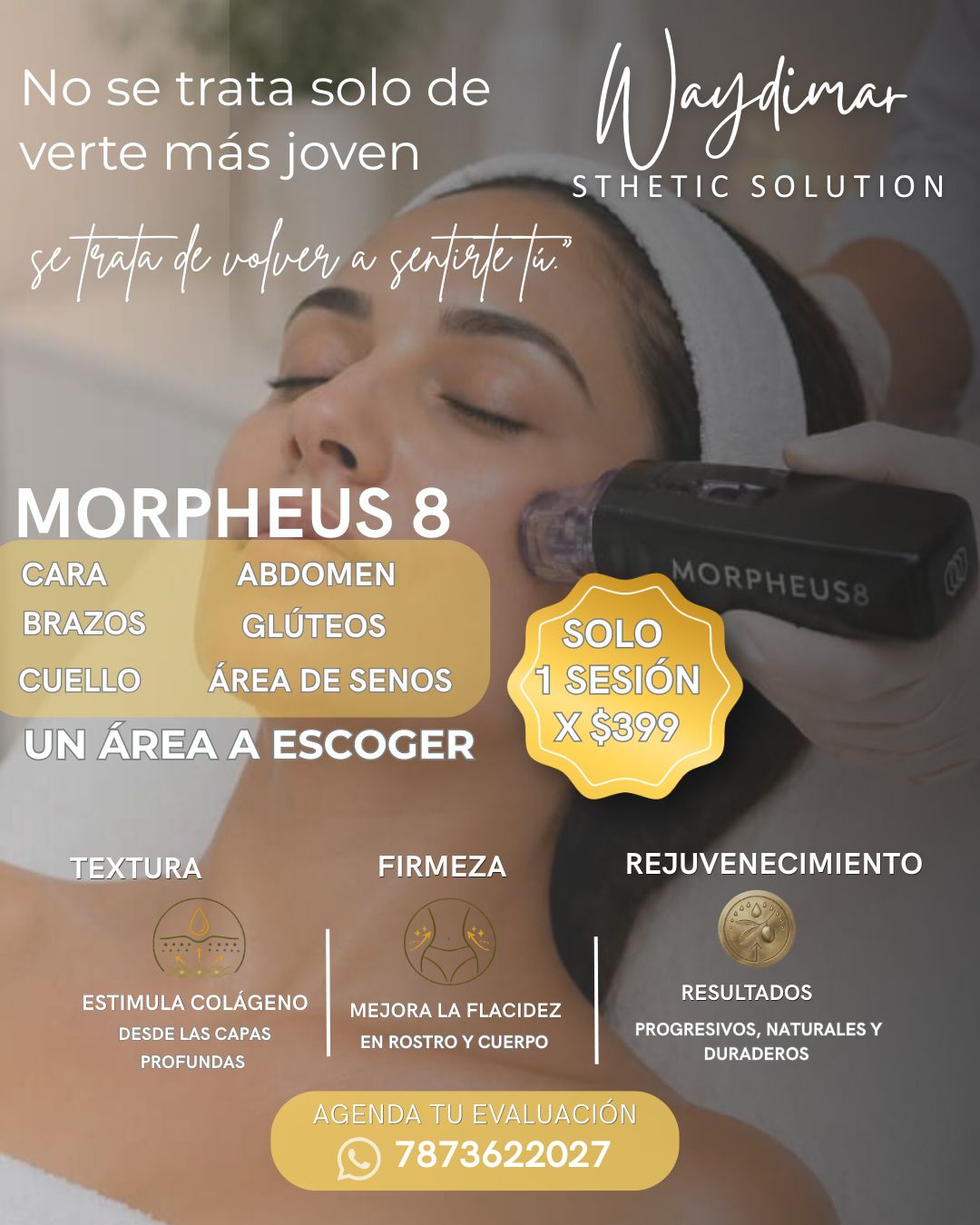 Morpheus8: 1 Área a Escoger en Vega Alta