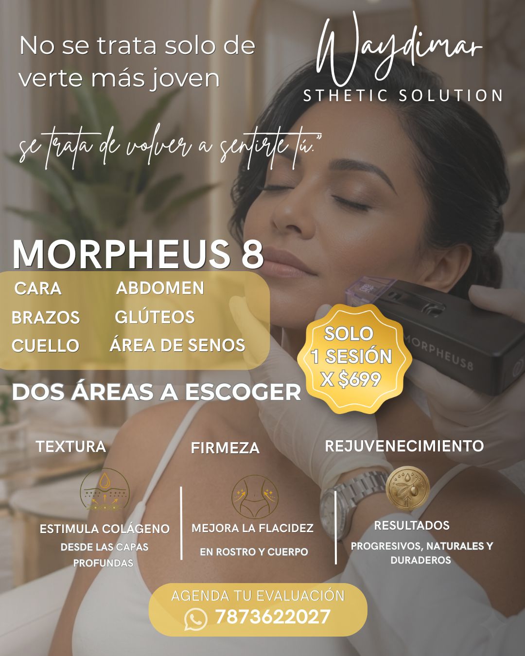 Morpheus8: 2 Áreas a Escoger en Vega Alta